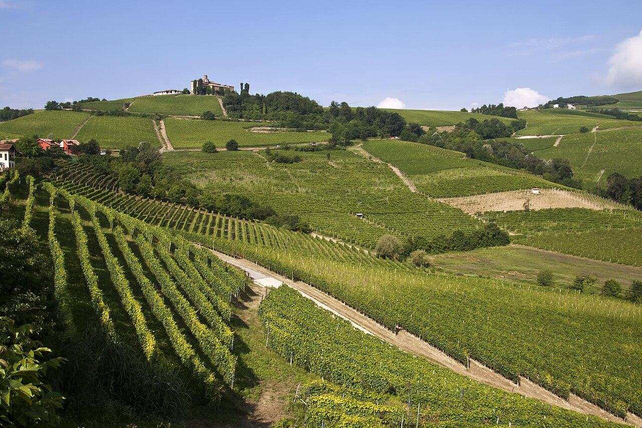 Fiera Internazionale del Tartufo Bianco d'Alba — Alba, Italy