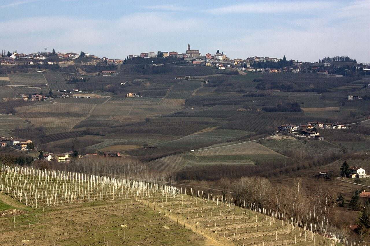 Alba International White Truffle Fair — Alba, Italy