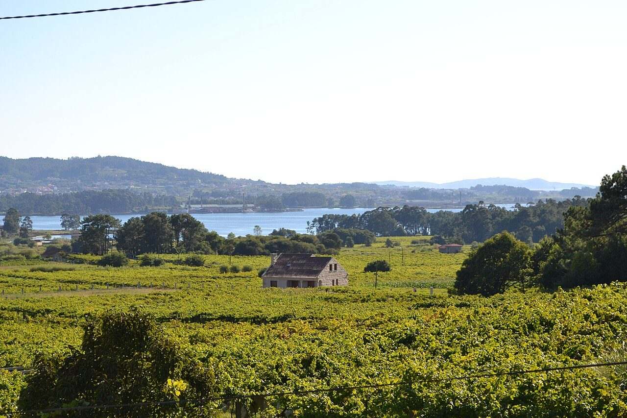 Fiesta del Albariño — Cambados, Spain