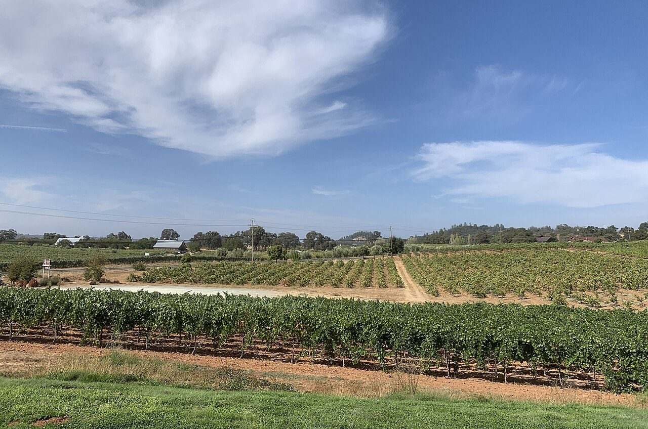 Amador Four Fires Food & Wine Festival — Plymouth, United States