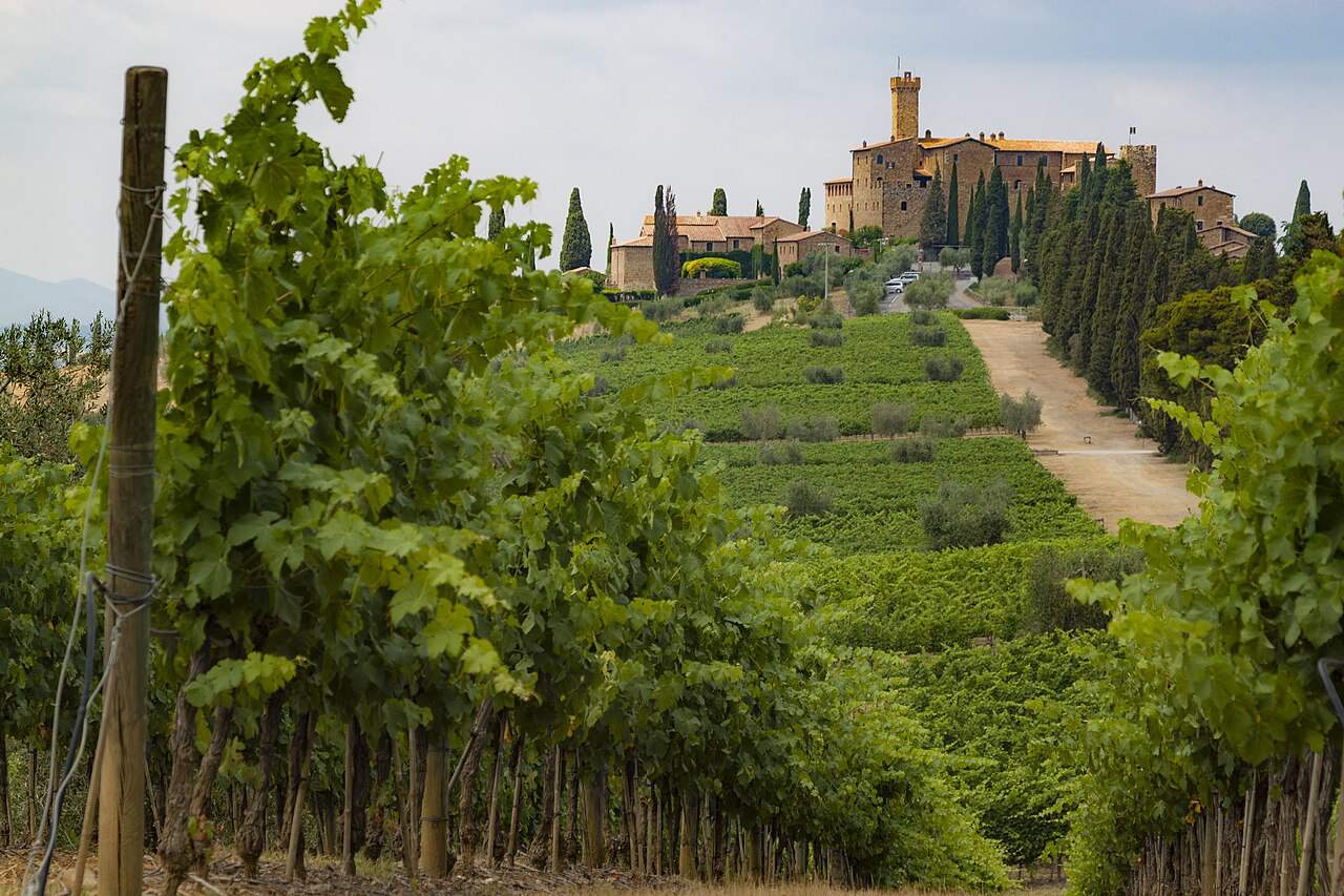 Benvenuto Brunello — Montalcino, Italy