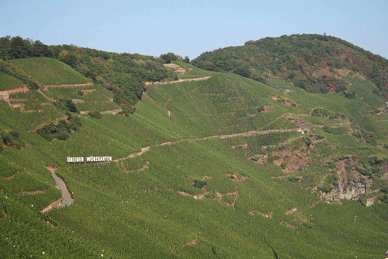 Weinfest der Mittelmosel — Bernkastel-Kues — Bernkastel-Kues, Germany