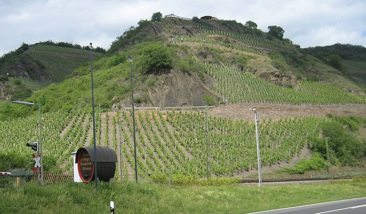 Boppard Wine Festival 2027 — Boppard, Germany