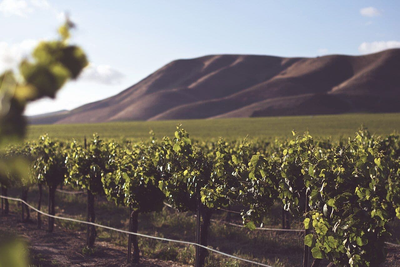 California Wine Festival Santa Barbara — Santa Barbara, United States
