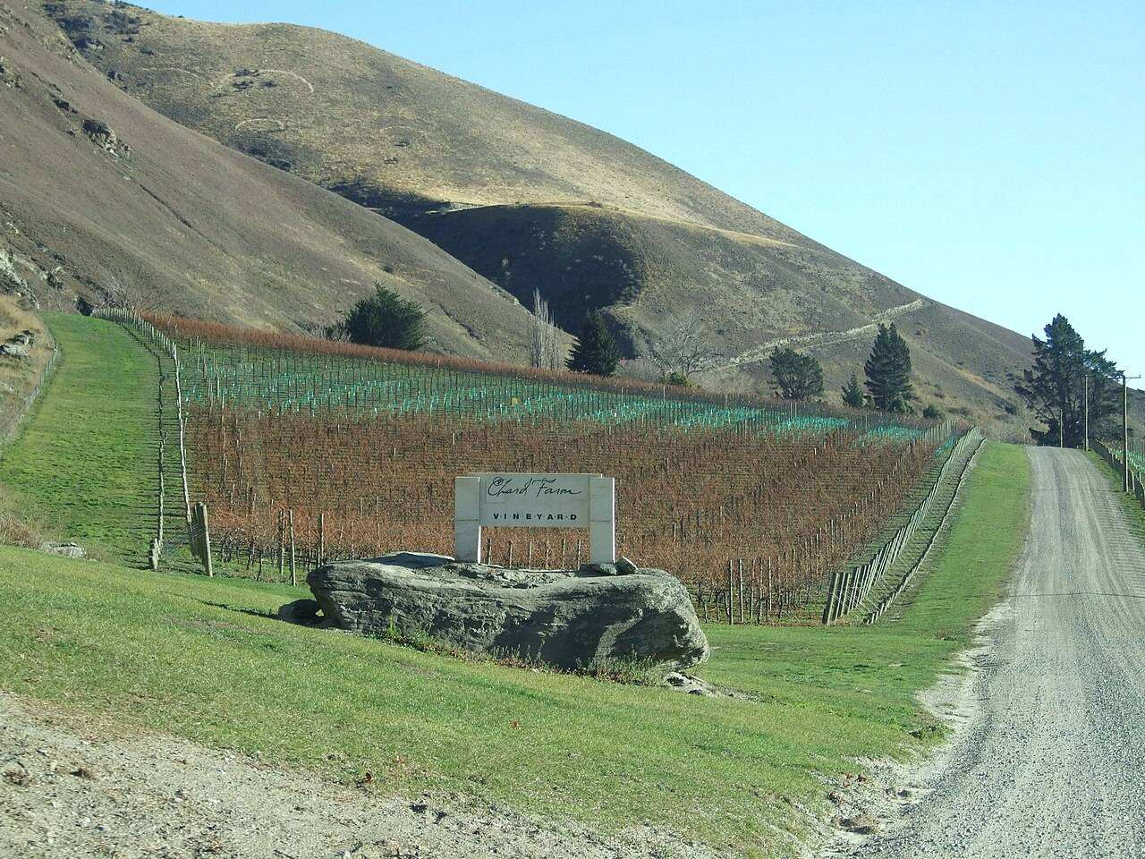 Central Otago Pinot Noir Celebration — Queenstown, New Zealand