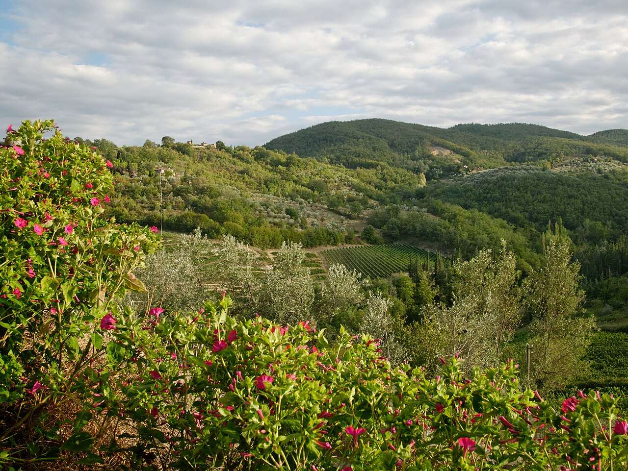 Chianti Classico Expo — Greve in Chianti, Italy