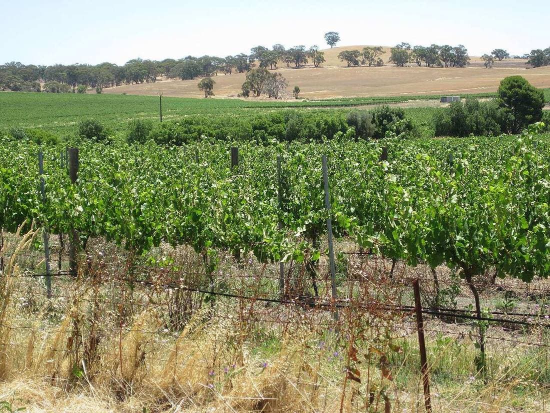Clare Valley Gourmet Weekend — Clare, Australia