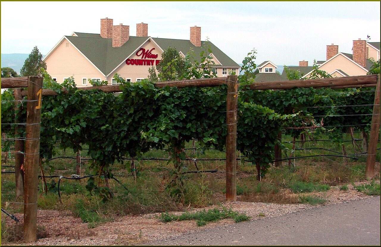 Colorado Mountain Winefest — Palisade, United States