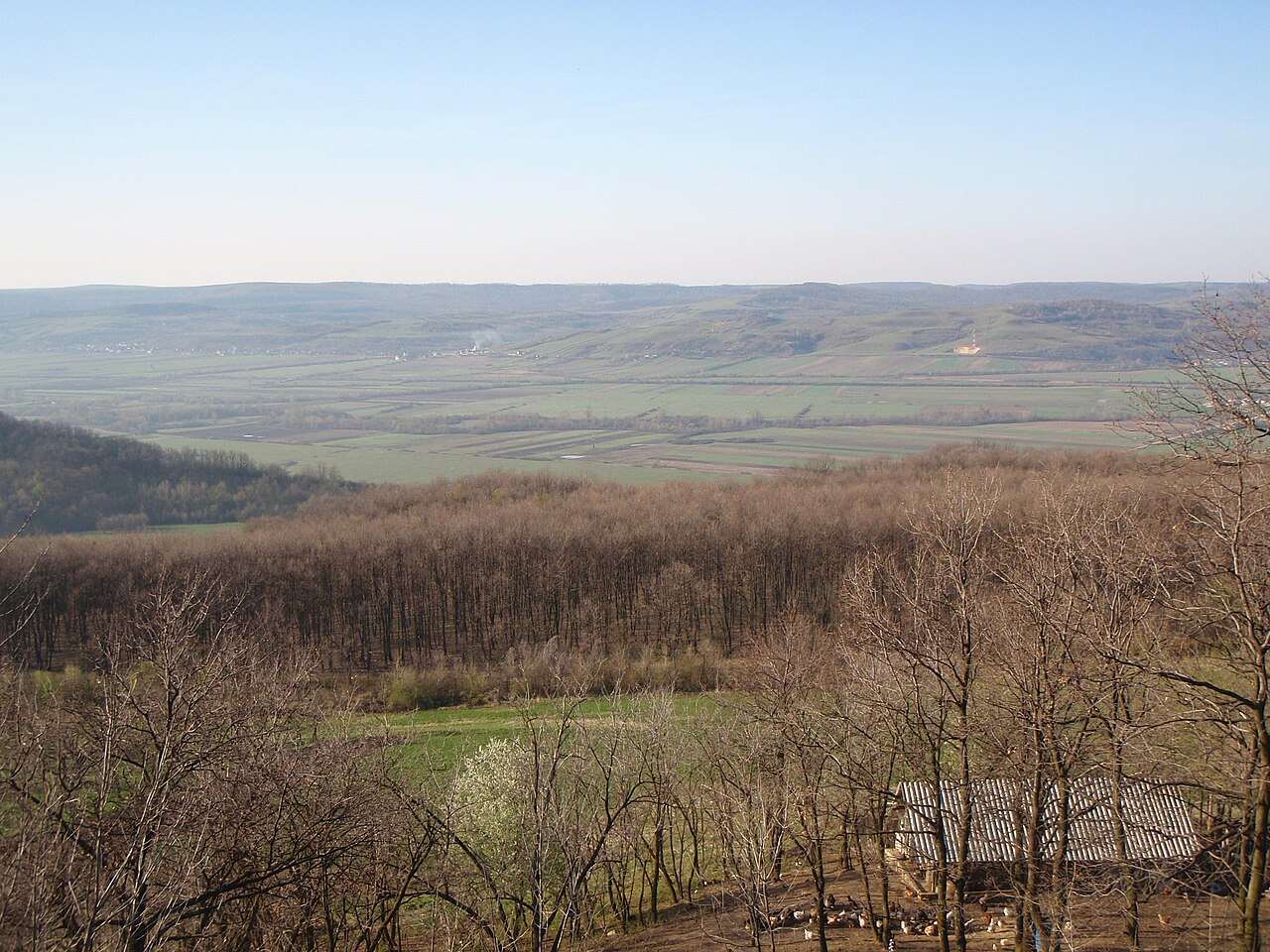 Dealu Mare Wine Days — Dealu Mare, Romania