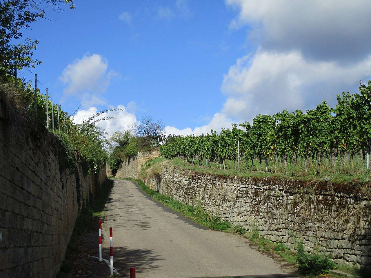 Deidesheimer Weinkerwe 2027 — Deidesheim, Germany