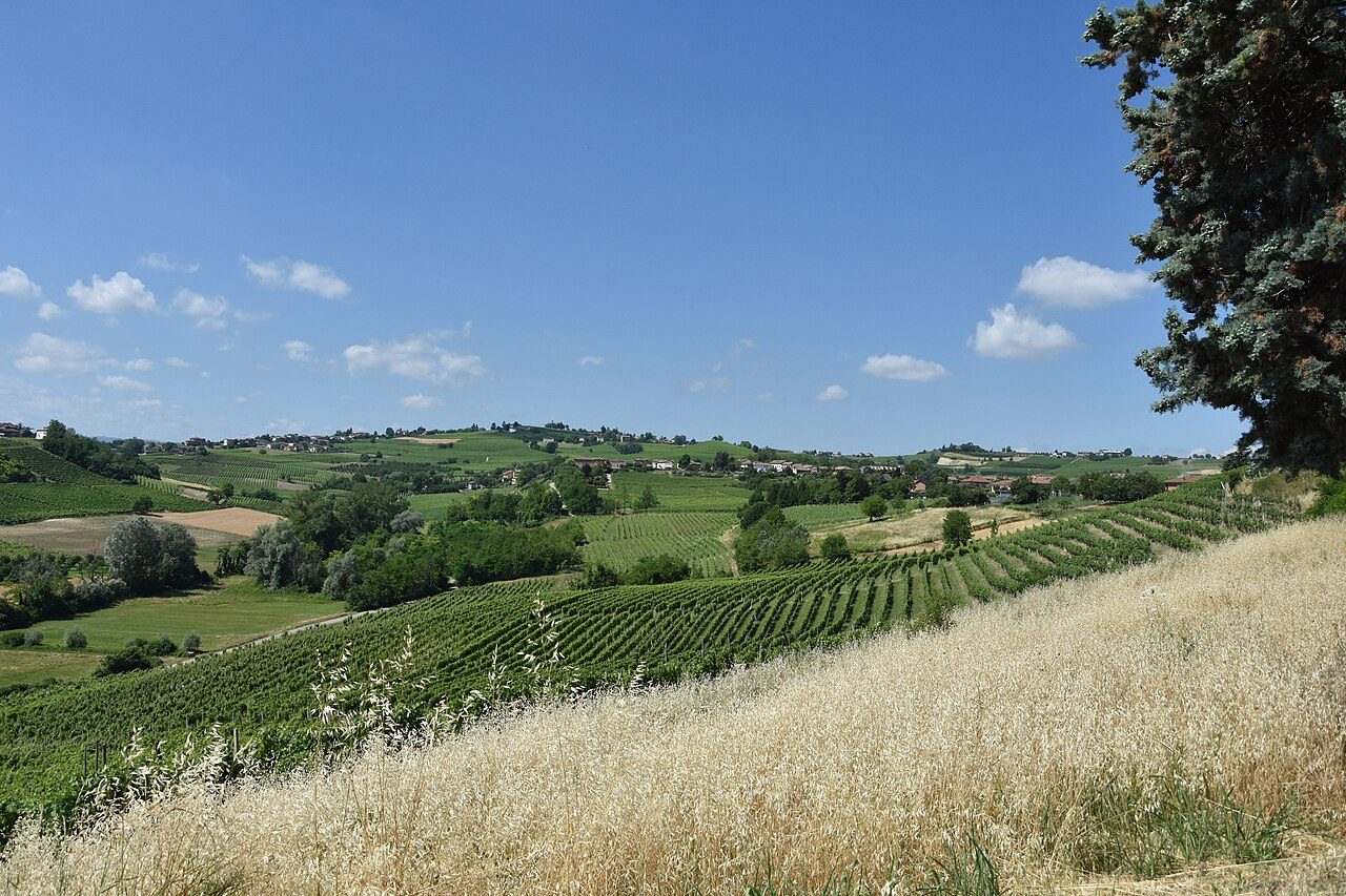 Douja d'Or — Asti, Italy