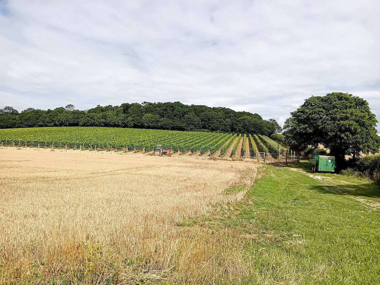English Wine Week — Nationwide (England & Wales), England