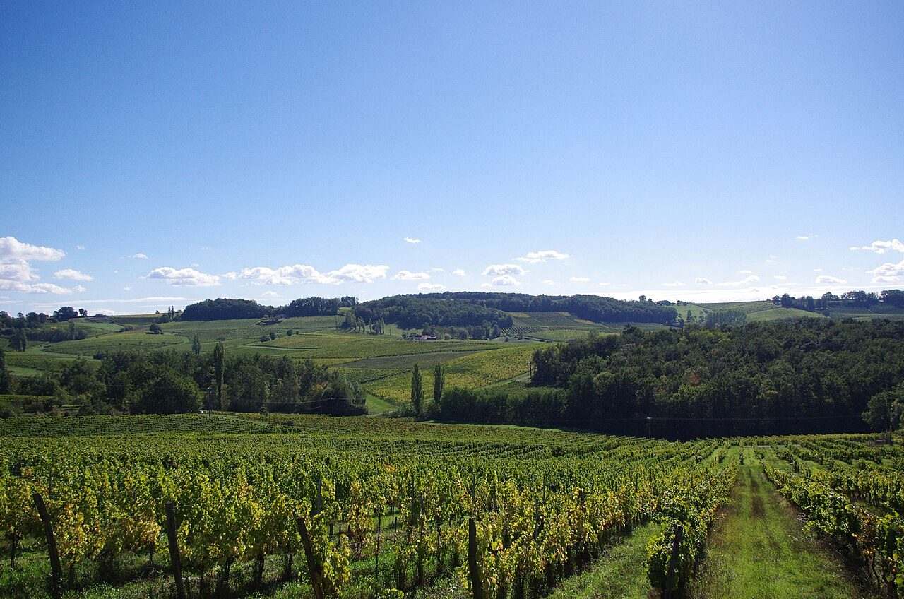 Festival des Vins de Bergerac — Bergerac, France