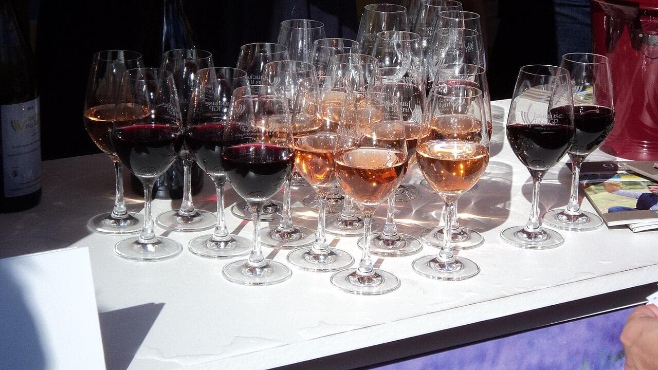 Fête des Vendanges de Montmartre — Paris, France