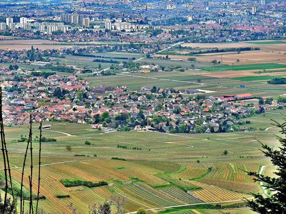 Foire aux Vins d'Alsace — Colmar, France