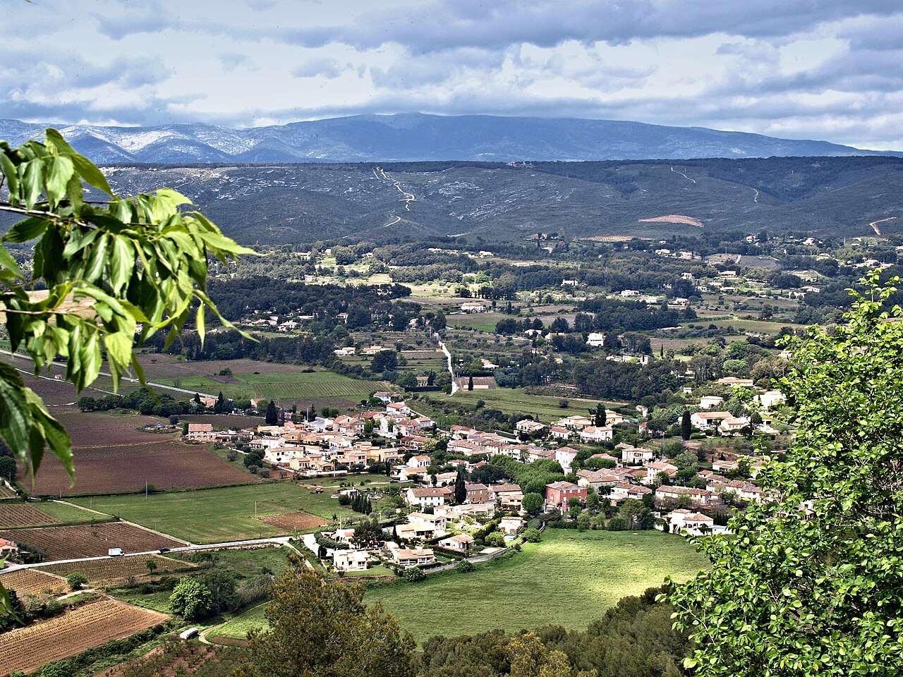 Fête du Millésime de Bandol — Bandol, France