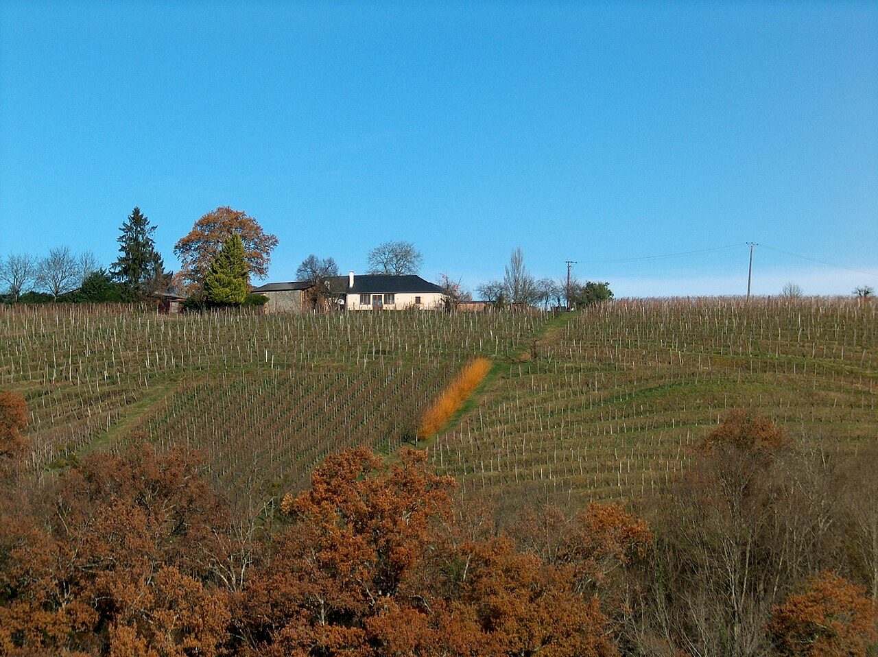 Fête du Vin de Jurançon — Jurançon, France