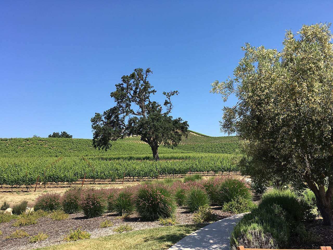 Harvest Wine Month Paso Robles — Paso Robles, United States