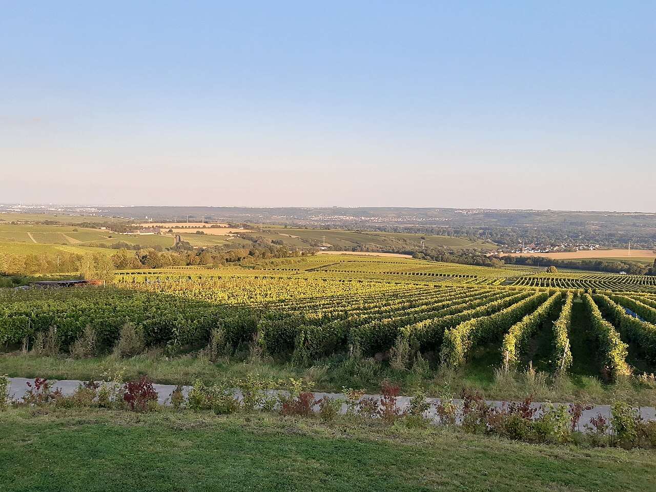 Hattenheim Wine Festival 2027 — Hattenheim, Germany