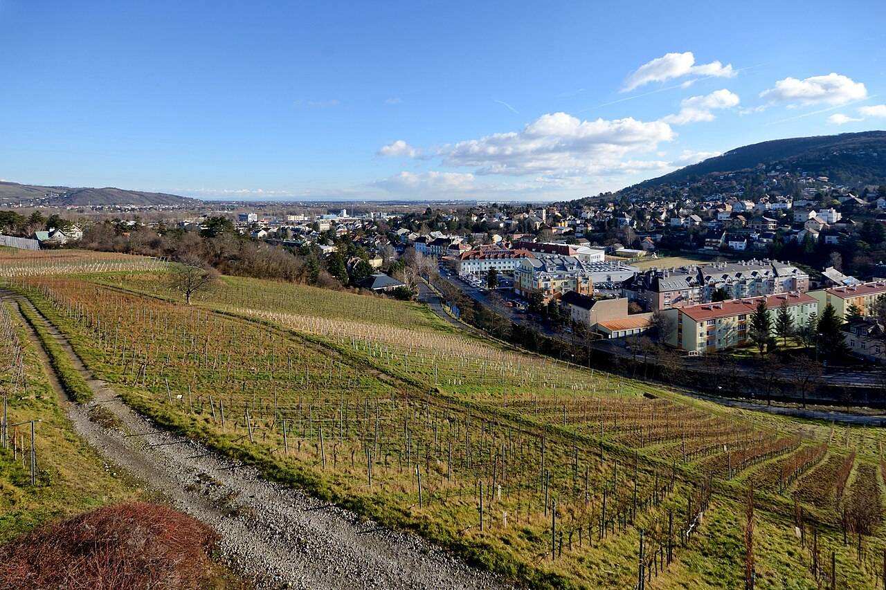 Klosterneuburg Stiftsweingut Weingutsfest — Klosterneuburg, Austria