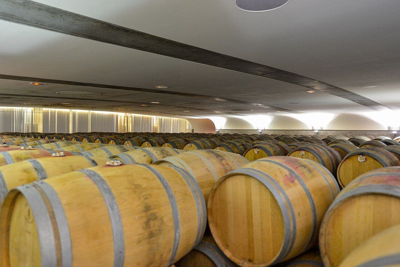 Marathon du Médoc — Pauillac, France
