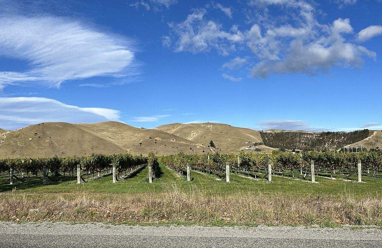 Marlborough Wine & Food Festival — Blenheim, New Zealand