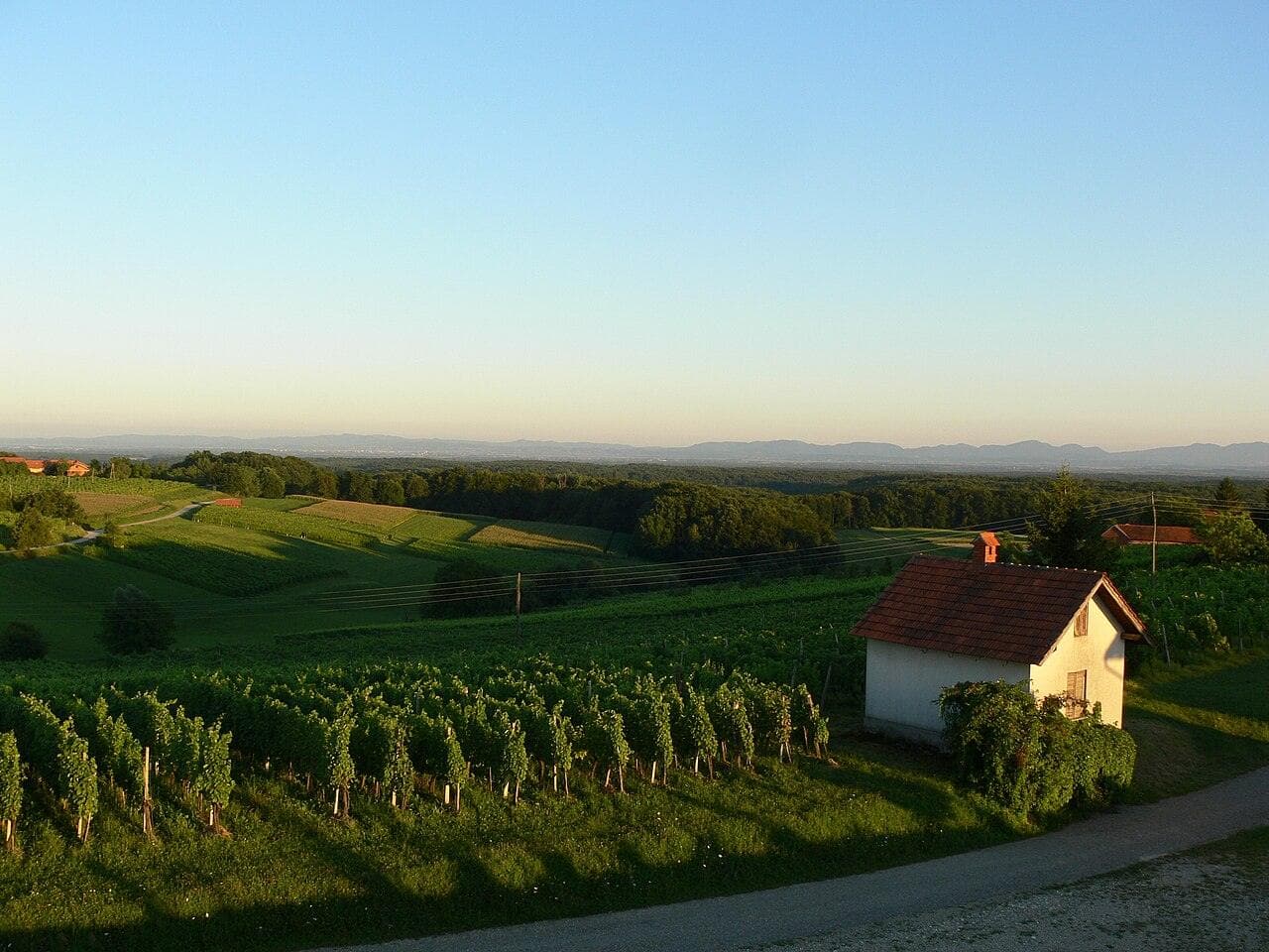 Martinovanje (St. Martin's Day) — Nationwide (Slovenia), Slovenia