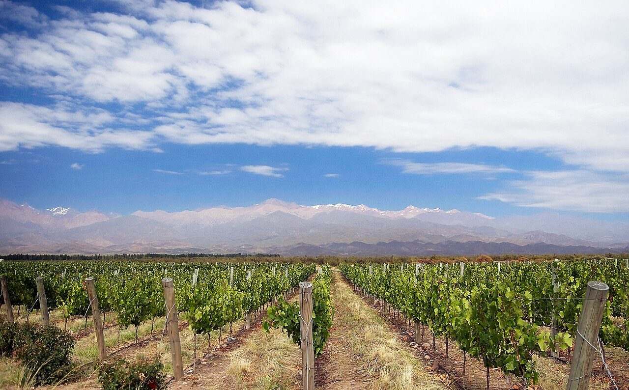 Bodegas Abiertas — Mendoza, Argentina