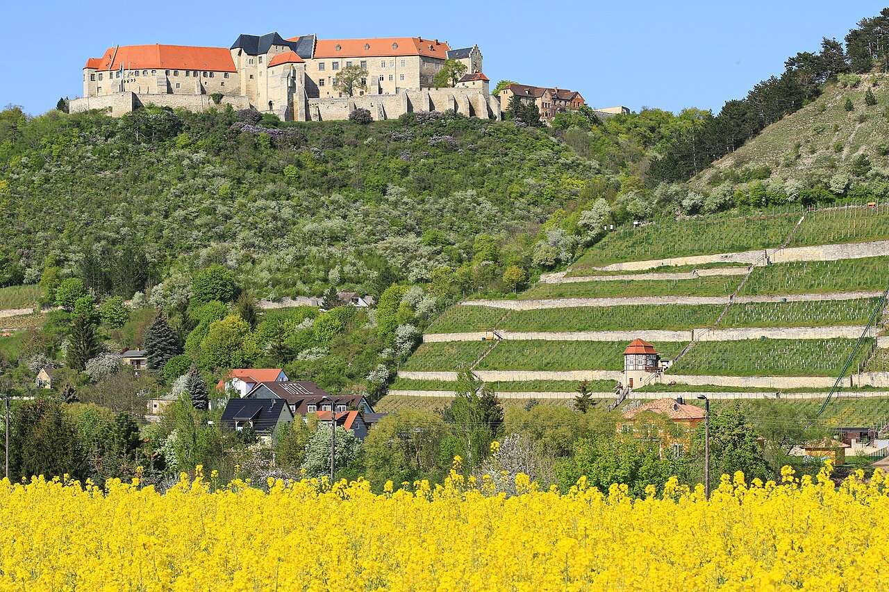 Naumburg Wine Festival 2027 — Naumburg, Germany