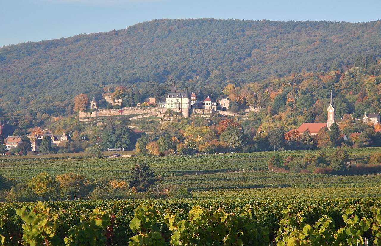 Neustadt Weinlesefest 2027 — Neustadt an der Weinstraße, Germany
