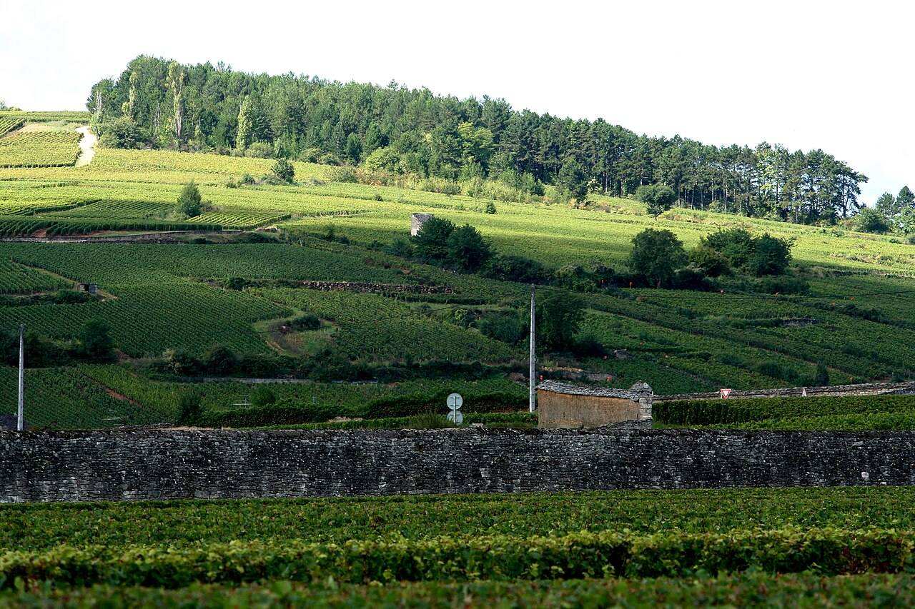 Nuit des Grands Crus — Beaune, France