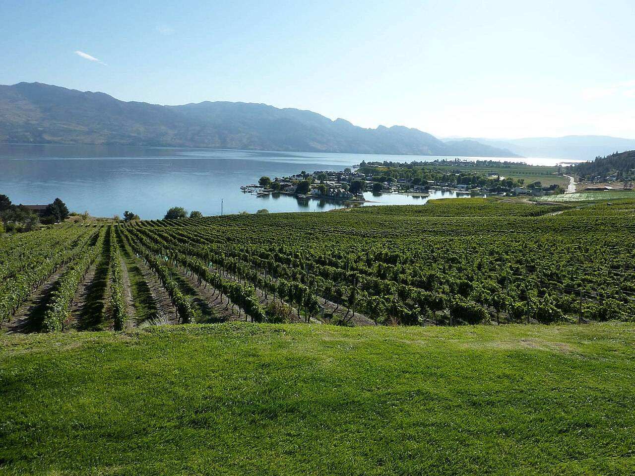 Okanagan Fall Wine Festival — Kelowna, Canada