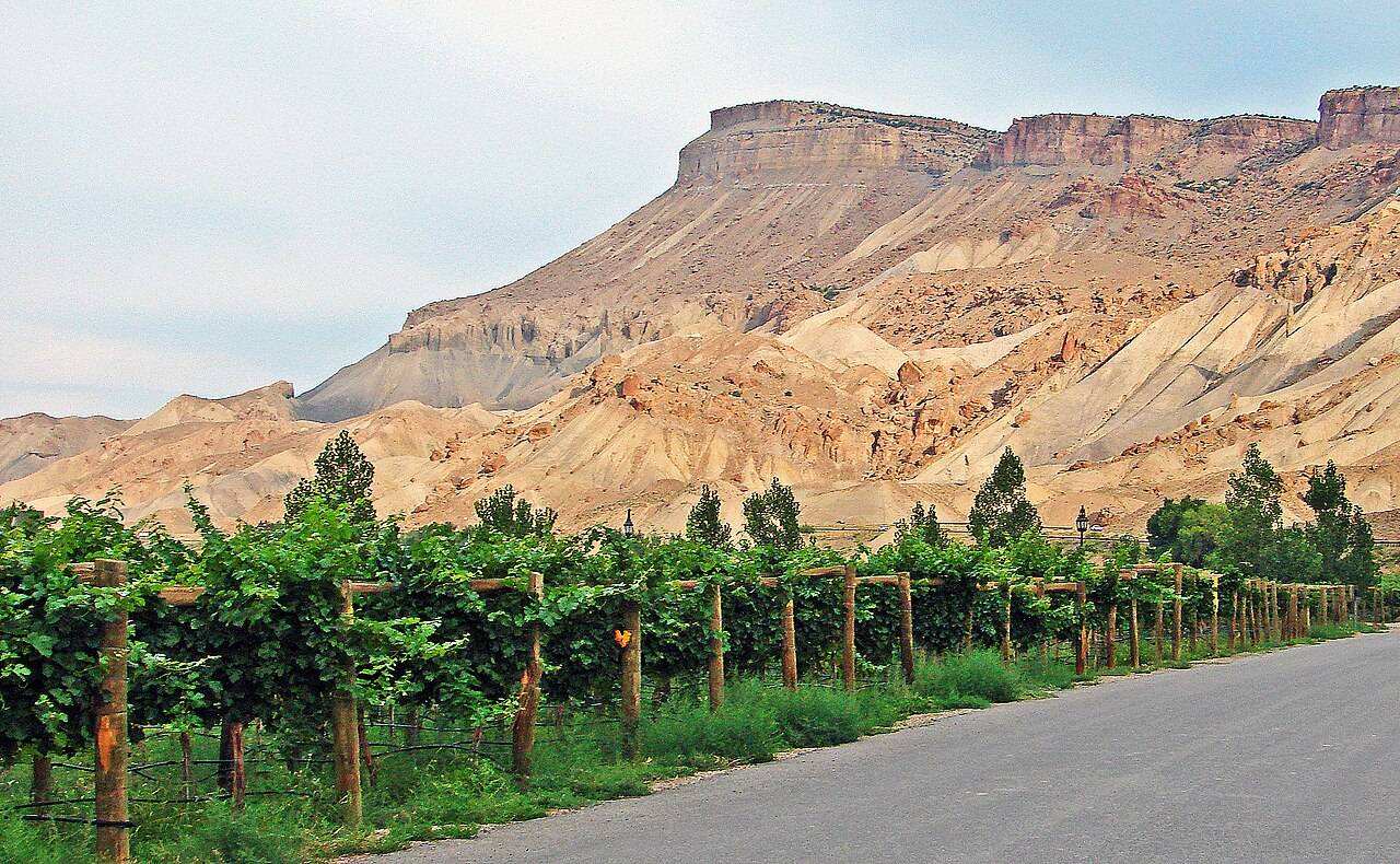 Palisade Peach Festival — Palisade, United States