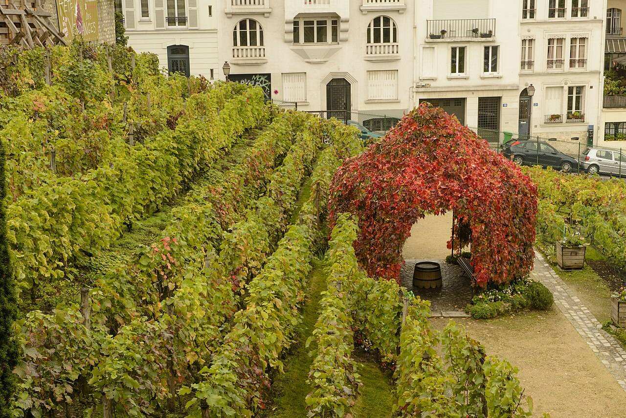 Paris Wine Week — Paris, France