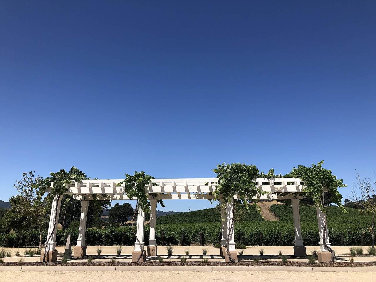 Paso Wine Fest — Paso Robles, United States