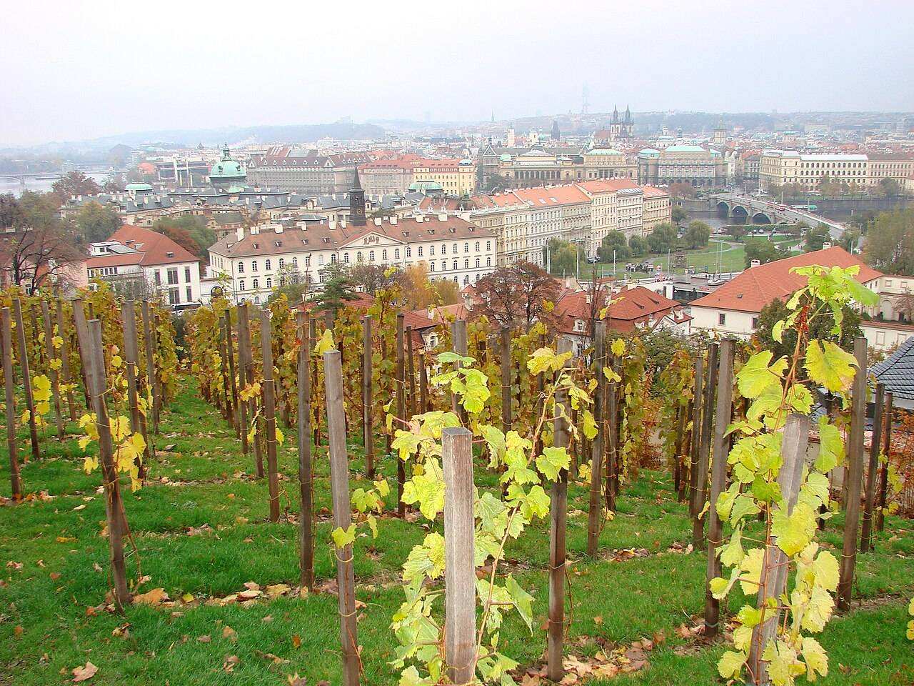 Prague Castle Wine Harvest Festival — Prague, Czech Republic