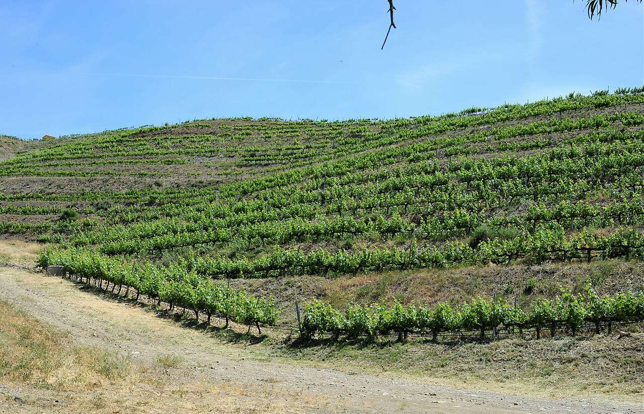 Fira del Vi del Priorat — Falset, Spain