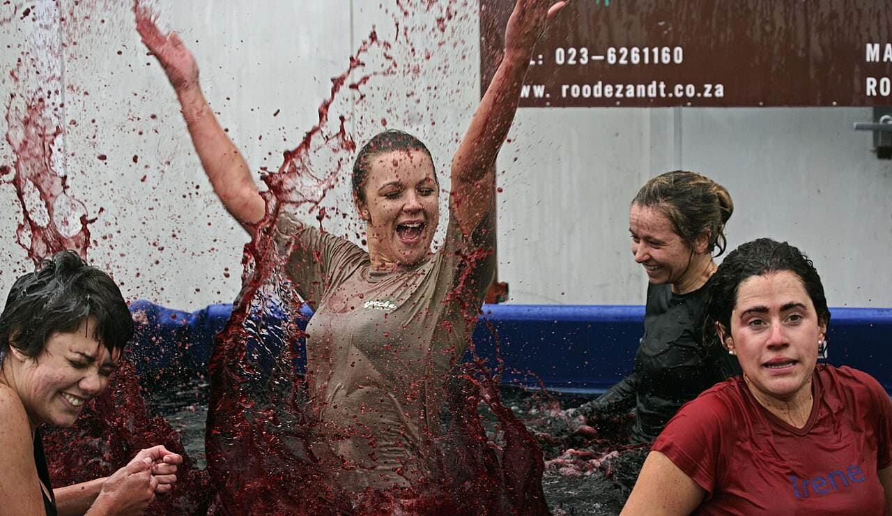 Robertson Wacky Wine Weekend — Robertson, South Africa