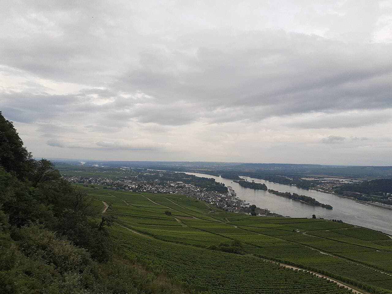Rudesheim Wine Festival 2027 — Rüdesheim, Germany