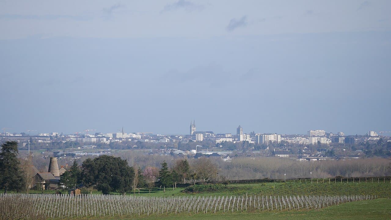 Salon des Vins de Loire — Angers, France