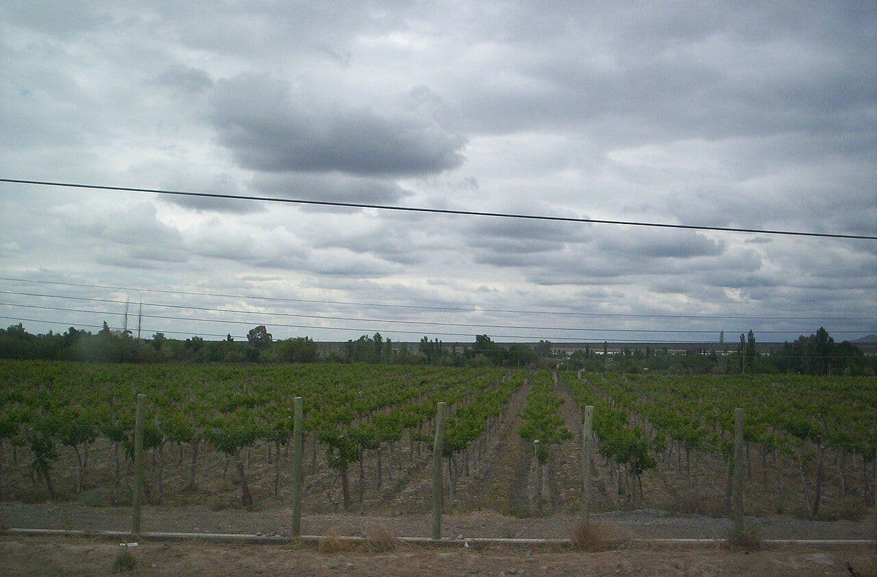Fiesta de la Vendimia de San Juan — San Juan, Argentina