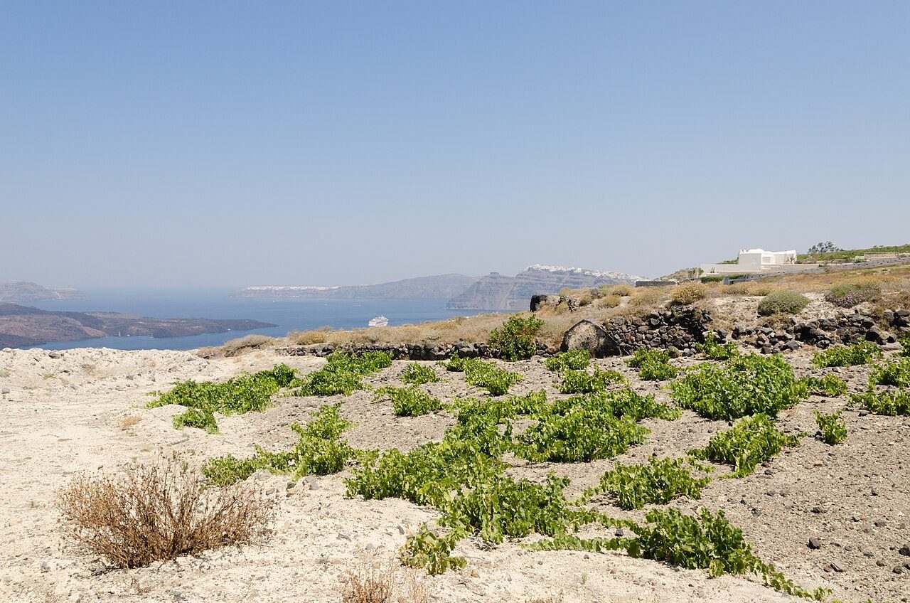 Santo Wines Festival — Pyrgos, Greece