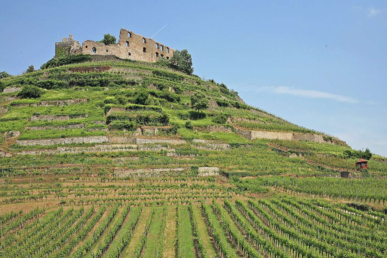 Staufen Wine Festival 2027 — Staufen, Germany