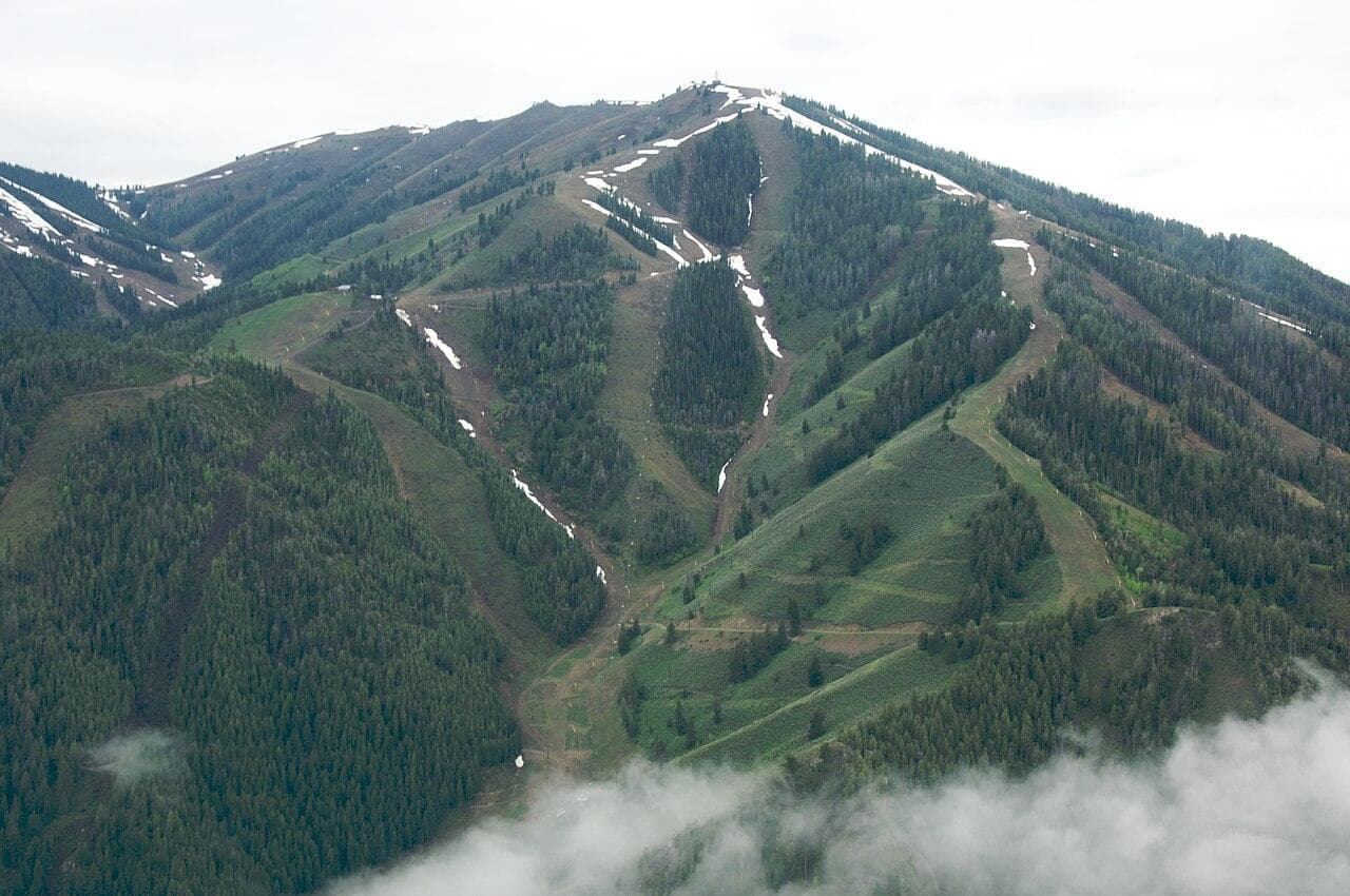 Sun Valley Wine Auction — Ketchum, United States