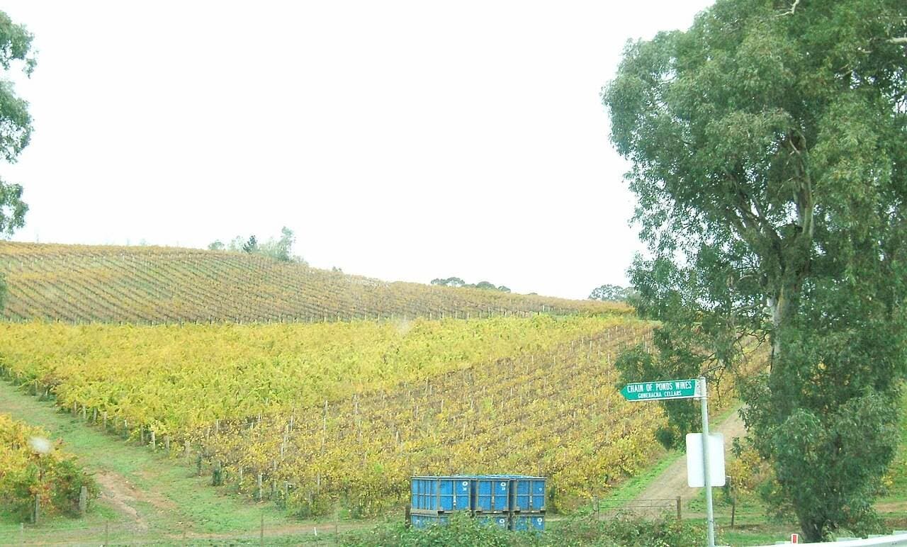 Tasting Australia — Adelaide, Australia