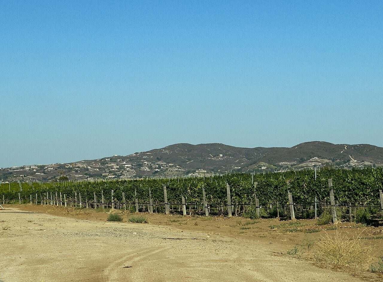 Temecula Valley Balloon & Wine Festival — Temecula, United States