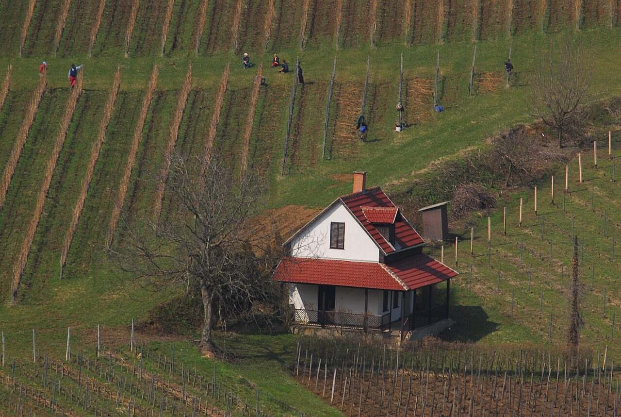 Tokaji Szüreti Napok — Tokaj, Hungary