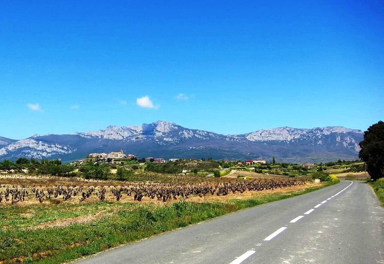 Fiesta de la Vendimia de Laguardia — Laguardia, Spain