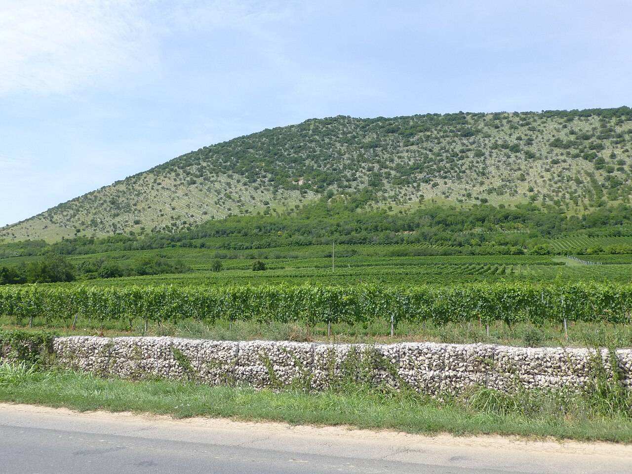 Villány Red Wine Festival (Vörösbornapok) — Villány, Hungary