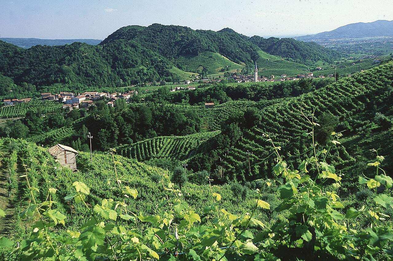 Vino in Villa — Valdobbiadene, Italy